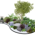 Diverse Landscape Plant Combination with Tree Shrubs Herbs Rocks and White Pebbles