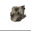 Natural Tree Stump with Rough Textured Wood Surface for Garden Decoration