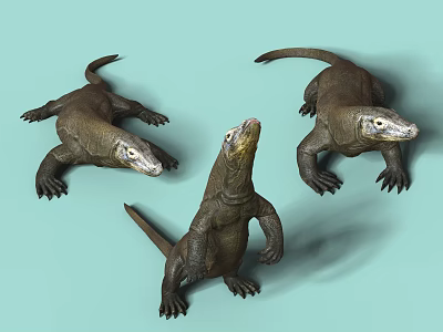 Three Komodo Dragons Reptiles Showing Different Poses on Light Blue Background 3d model
