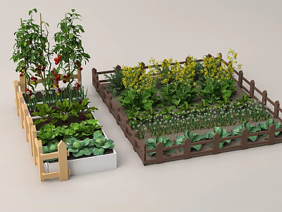 Vegetable Garden With Various Crops And Fences 3d model
