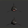 Realistic 3D Shark Models With Open Mouth And Closed Mouth On Gray Background