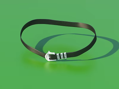 Black Leather Belt With Silver Metal Buckle On Green Background 3d model
