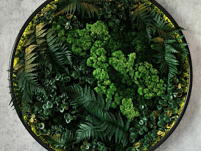 Plant wall 3d model