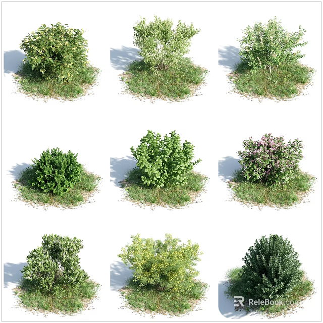 Different Types Of Garden Shrubs With Green Foliage And Flowering Varieties For Outdoor Landscaping 3d model 