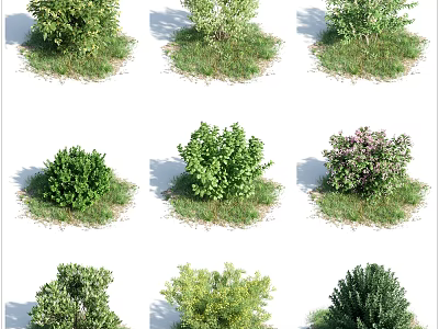Different Types Of Garden Shrubs With Green Foliage And Flowering Varieties For Outdoor Landscaping 3d model