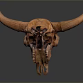 Brown Animal Skull With Large Curved Horns On Reflective Gray Gradient Background