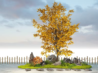 Ginkgo Tree With Yellow Leaves Surrounded By Rocks Small Plants Bamboo Fence And Sandy Ground 3d model