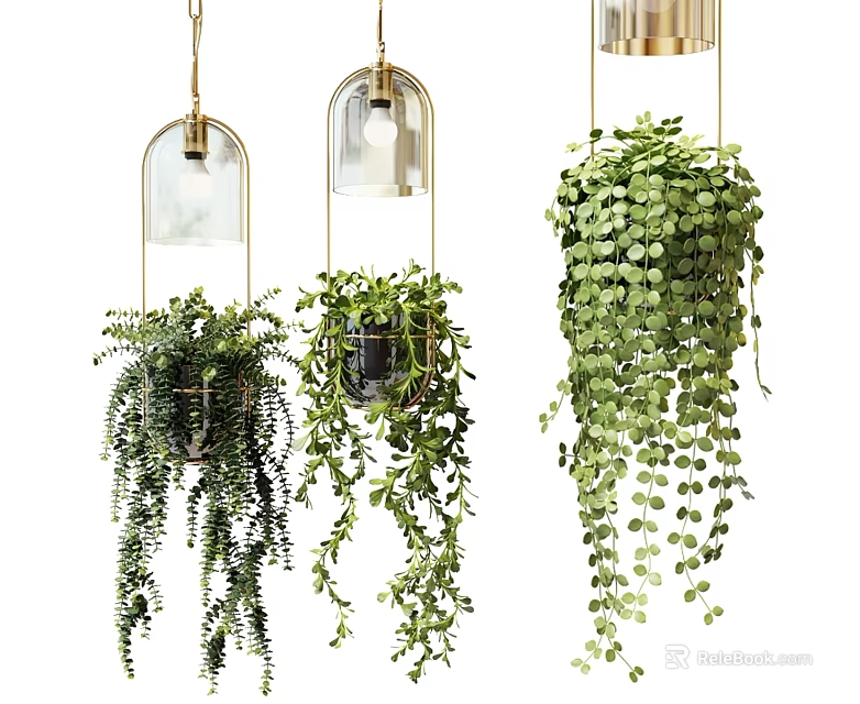 Hanging Bonsai Potted Plants With Green Trailing Leaves And Metal Frame Glass Containers 3d model 