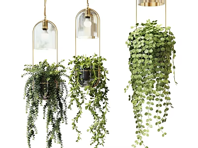Hanging Bonsai Potted Plants With Green Trailing Leaves And Metal Frame Glass Containers 3d model