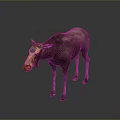 Realistic 3D Moose Model With Brown Fur And Orange Nose Standing On Gray Backdrop