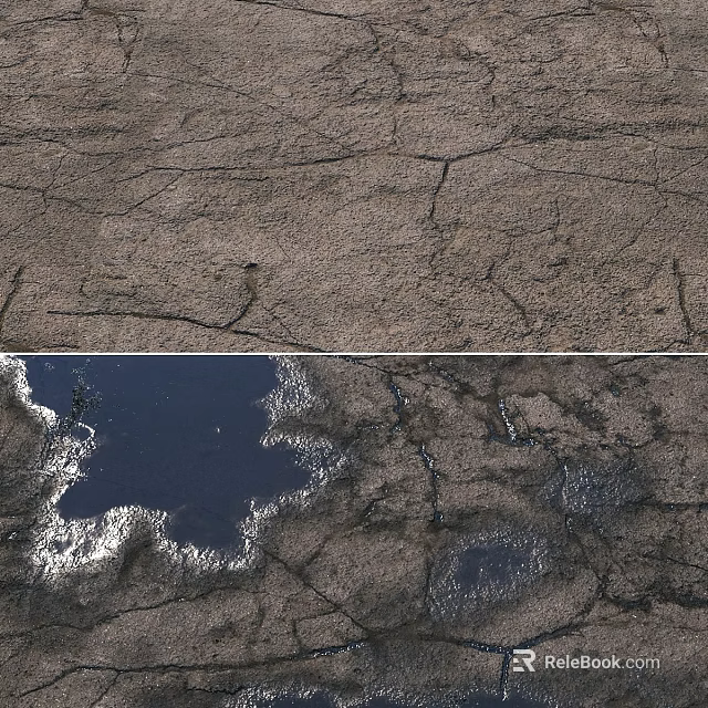 Dry Cracked Soil Surface With Visible Deep Cracks And Small Water Puddles 3d model 