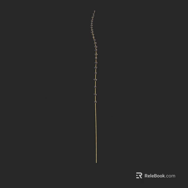 Stylish Vase Decorated With Golden Chain And Fresh Flowers On Dark Background 3d model 
