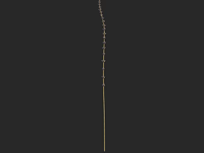 Stylish Vase Decorated With Golden Chain And Fresh Flowers On Dark Background 3d model