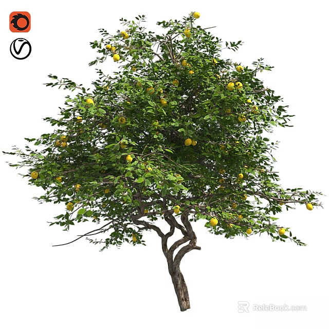Natural Style Decorative Ornament Set With Lemon Tree Green Leaves And Yellow Fruits 3d model 