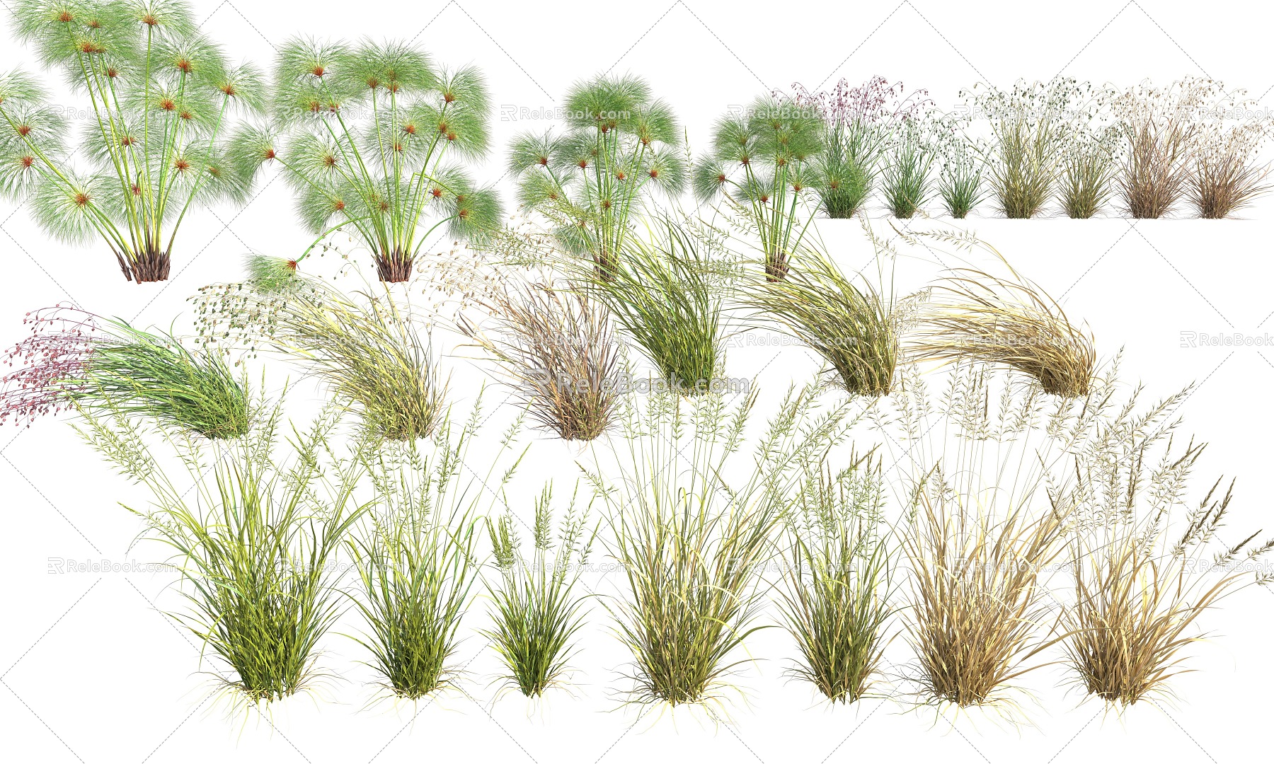 plant weed withered grass 3d model