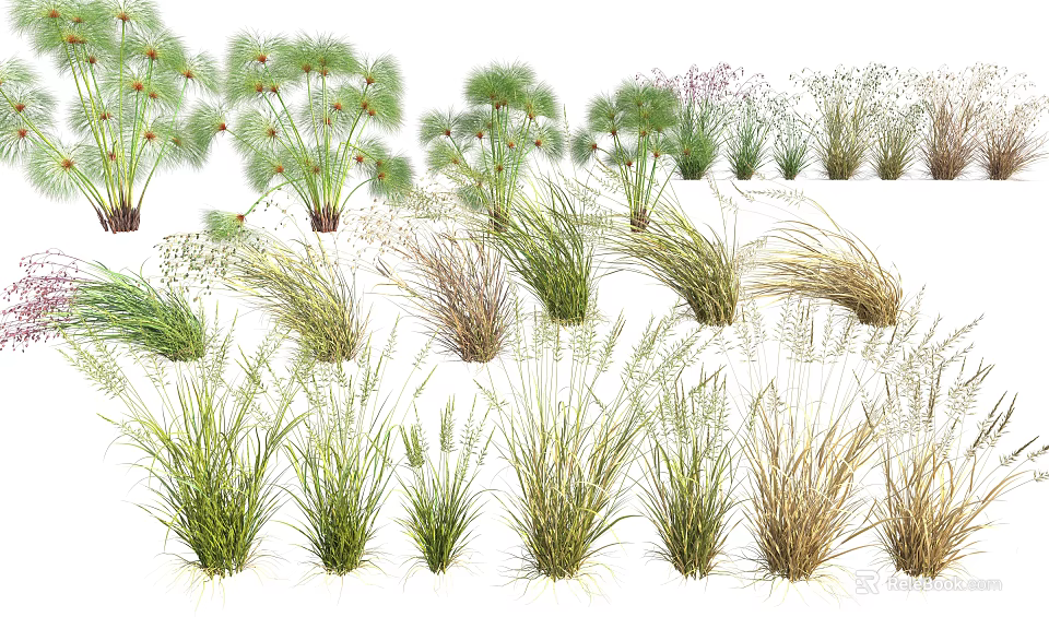 Diverse Shrub Species With Various Forms And Colorful Foliage For Garden Landscaping 3d model 