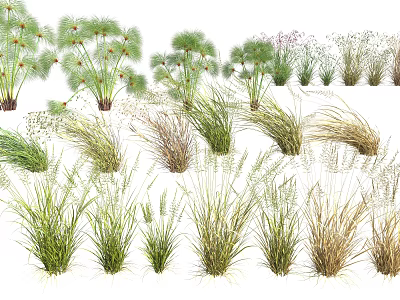 Diverse Shrub Species With Various Forms And Colorful Foliage For Garden Landscaping 3d model