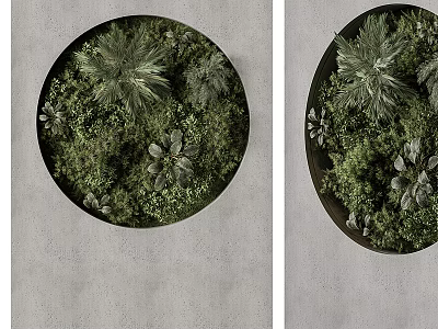 Circular Vertical Green Wall With Lush Plants On Grey Wall 3d model