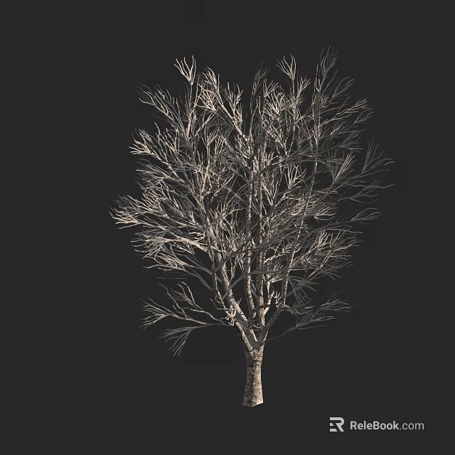Arbor With Bare Branches And Intricate Structure Against Dark Background 3d model