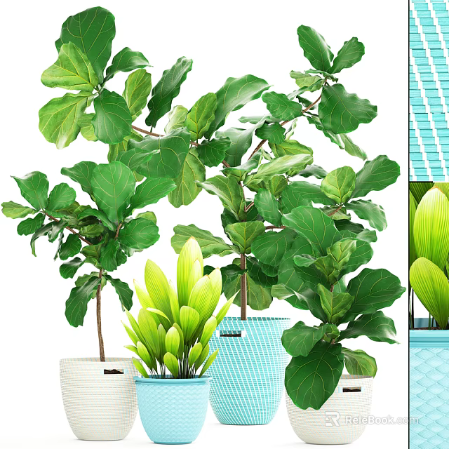 Various Indoor Bonsai Potted Plants With Green Foliage And Decorative Planters 3d model 