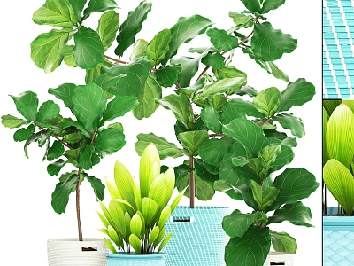Various Indoor Bonsai Potted Plants With Green Foliage And Decorative Planters 3d model