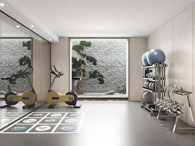 Modern Basement Gym Basement model