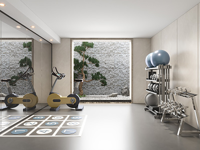 Modern Basement Gym Basement 3d model