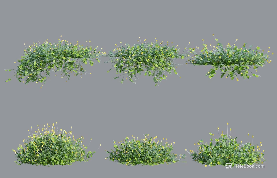 Green Shrubs With Yellow Flowers And Different Growth Forms For Garden Landscape 3d model 