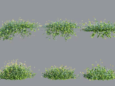 Green Shrubs With Yellow Flowers And Different Growth Forms For Garden Landscape 3d model