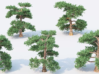 Multiple Pine Trees With Green Foliage And Brown Trunks In Natural Scene 3d model