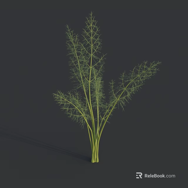 Fresh Fennel Vegetable With Green Leafy Stems And Culinary Uses 3d model 