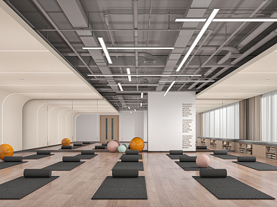 Modern Yoga Room 3d model