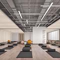 Modern Yoga Room 3d model