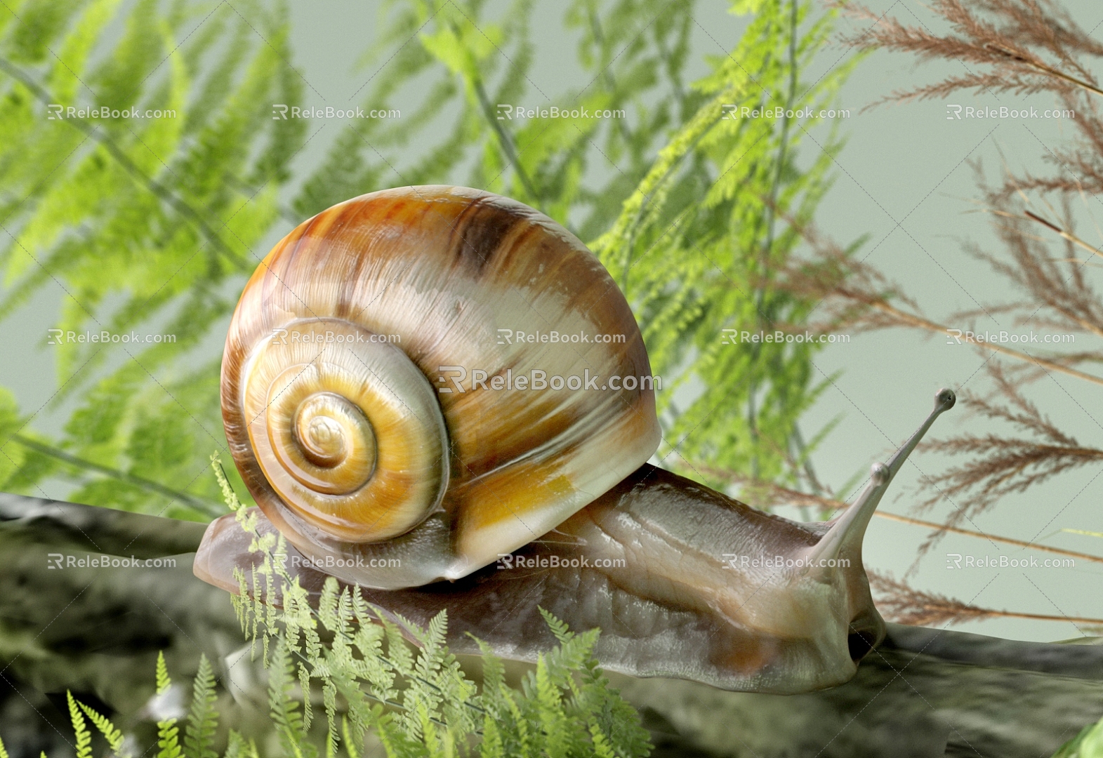 Modern plant pile green plant snail big snail stump rotten wood moss 3d model