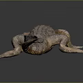 Crocodile 3D Model Lying on Black Surface With Reflection and Gradient Gray Background 3d model