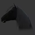 Black Horse Head Portrait With Mane Ears And Eyes On Gray Background