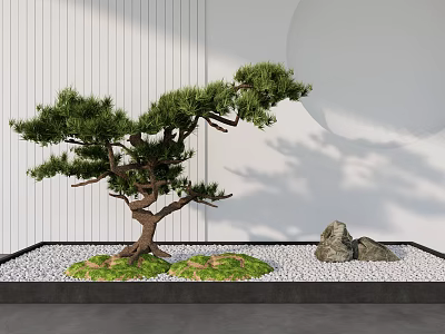 Stylish Garden Ornament Featuring Styled Pine Tree Rocks White Pebbles And Vertical Striped Wall 3d model