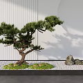 Stylish Garden Ornament Featuring Styled Pine Tree Rocks White Pebbles And Vertical Striped Wall