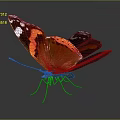 Orange and black butterfly with white spots spread wings detailed wing textures on dark background