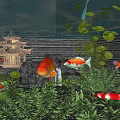 Vibrant Aquarium Fish Tank With Colorful Koi Fish Green Aquatic Plants And Decorations