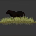 Black Panther Standing In Lush Green Grass With Striking Red Eyes