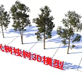 Modern Eucalyptus Trees 3D Model Design With Realistic Foliage And Detailed Features 3d model
