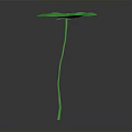 Vibrant Green Lotus Leaf Plant With Long Stem On Smooth Gray Background Surface