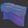 Modern Skin Interface 3d model