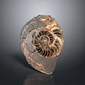 Transparent Spiral Decorative Home Living Object With Metallic Accent And Shell Shape 3d model