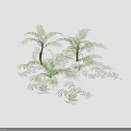 Lush Palm Trees With Green Feathery Leaves Brown Trunks And Scattered Leaves In 3D Render