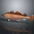 Realistic Brown Fish Shaped Decorative Figurine For Home Living Room