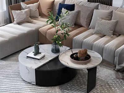 Modern Round Black And White Marble Coffee Table With Green Plant Book And Decorative Items 3d model