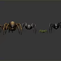 Three Varied Colored Spiders with Detailed Designs and Distinct Features