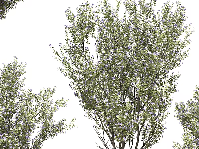 Lush Green Arbor With Purple Flowers And Dense Foliage In Natural Scene 3d model